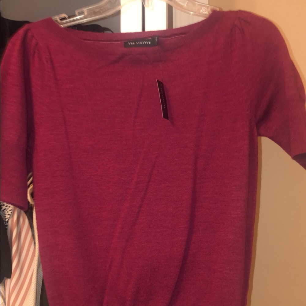 NWT The Limited Sweater